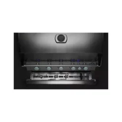 Barbecue Gaz Encastrable Built-In BIG 32 4 Brûleurs + 1 Brûleur Arrière - NAPOLEON -Napo Barbecues Magasin barbecue gaz encastrable built in big 32 4 bruleurs 1 bruleur arriere napoleon 3