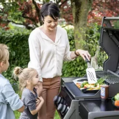 Barbecue Gaz Rogue 365 R 2 Brûleurs - NAPOLEON -Napo Barbecues Magasin barbecue gaz rogue 365 serie r 2 bruleurs 2