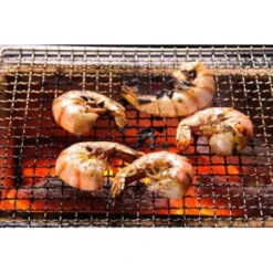 Barbecue Japonais Konro Stove 54 X 23 X 20 Cm BQ8WF -Napo Barbecues Magasin barbecue japonais konro stove 54 x 23 x 20 cm bq8wf 4